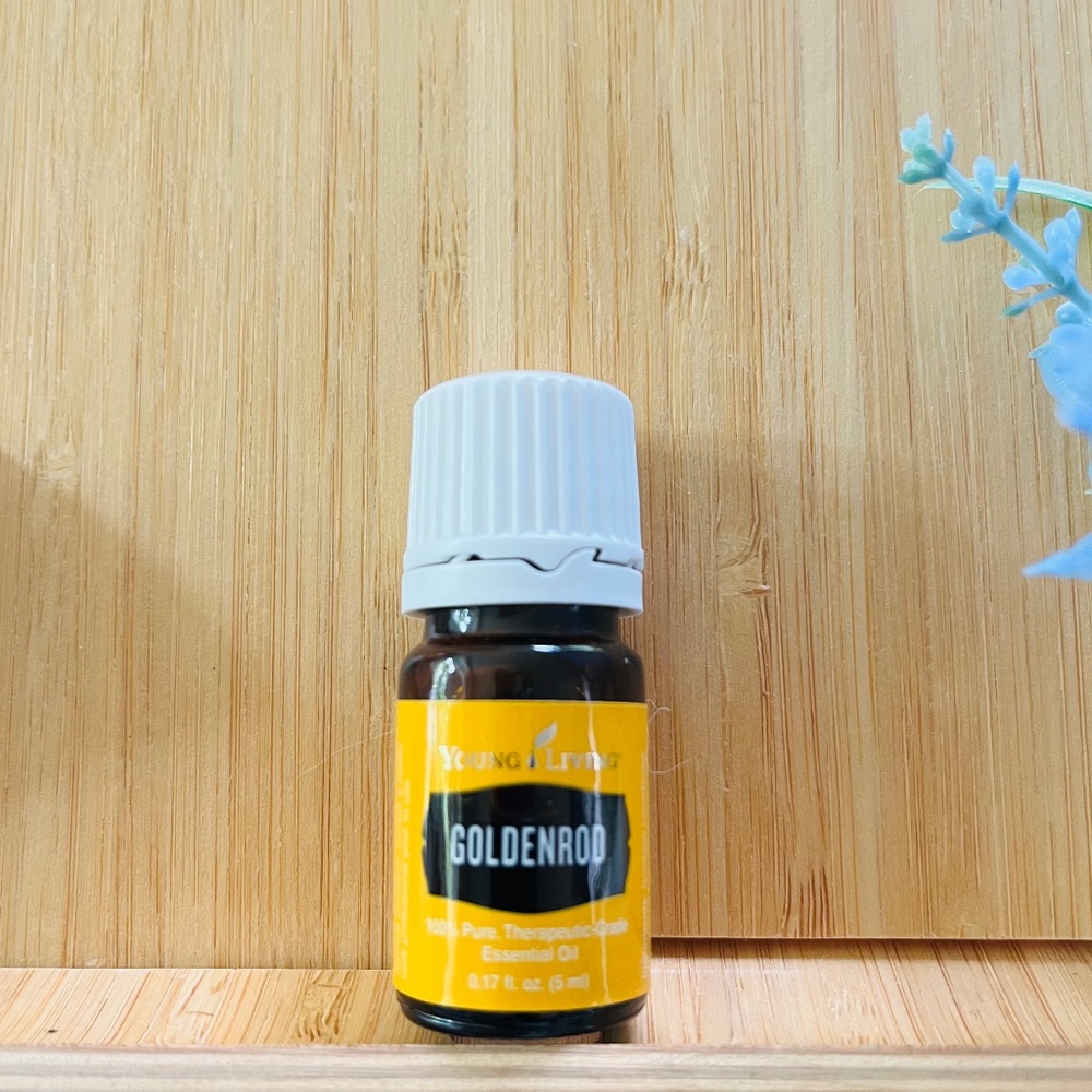 Young Living Goldenrod Essential Oil - 5ml, NEW